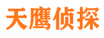 雁江侦探公司